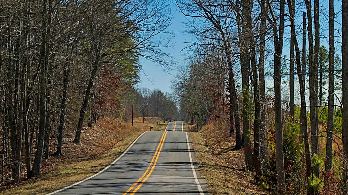 a road with trees on the side